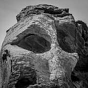 Valley Of Fire Ix Bw Poster