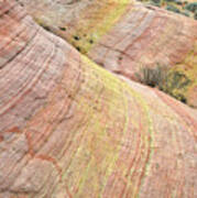 Valley Of Fire Pastel Dunes Poster