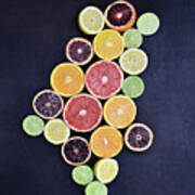Variety Of Citrus Fruits Poster