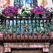 Venice Flower Balcony Poster