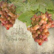 Vineyard - Napa Valley Vintner's Touch Pinot Grigio Grapes Poster