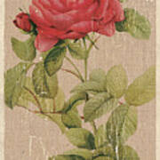Vintage Burlap Floral Poster