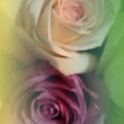 Vintage Roses 2 Poster