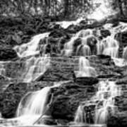Vogel State Park Waterfall Poster