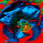 Volcanic Blossom Poster
