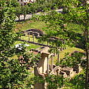 Volterra's Roman Ruins Poster