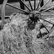 Wagon Wheel And Grain C2g 5772 Poster
