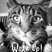 Wake Up It's Your Birthday Cat- Art By Linda Woods Poster