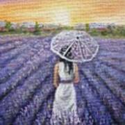 Walk On Lavender Field Poster