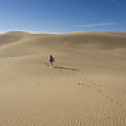 Walking On The Sand Poster