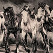 War Horses Poster