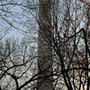 Washington Monument Behind Trees Poster