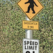 Watch Out For The Sasquatch Poster