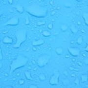Water Drops On Car Poster