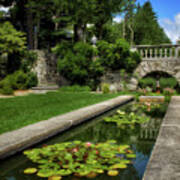 Water Lilies In The Pool Poster