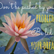 Water Lily Dreams Poster