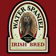 Water Spaniel Irish Bred Premium Lager Poster