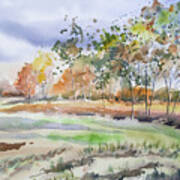 Watercolor - Autumn Birch Landscape Poster