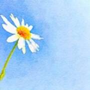 Watercolor Daisy Poster