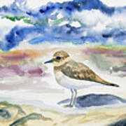 Watercolor - Double-banded Plover On The Beach Poster