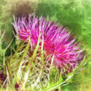 Watercolor Thistle Poster