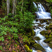 Waterfall Back Fork Of Elk River Poster