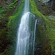 Waterfall In Olympic National Rainforest Poster