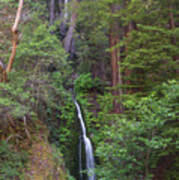 Waterfall In The Redwoods Poster