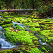 Waterfall Over Mossy Rocks Poster