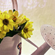 Watering Can Daisies Poster