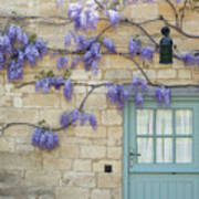 Weaving Wisteria Poster