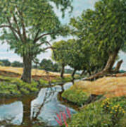 Weeping Willows At Beverley Brook Poster