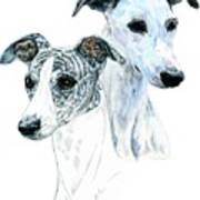 Whippet Pair Poster