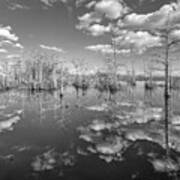 White Clouds Over The Everglades Black And White Poster
