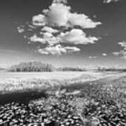 White Clouds Over The Marsh In Black And White Poster