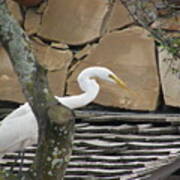 White Crane On Roof Poster