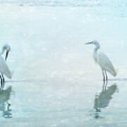 White Cranes - Blue Poster