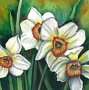 White Daffodils Poster
