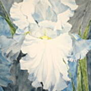 White Iris - For Van Gogh - Posthumously Presented Paintings Of Sachi Spohn Poster