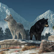 White Wolf, Black Wolf Poster