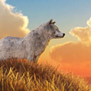 White Wolf Poster