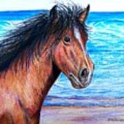 Wild Horse On The Beach Poster