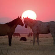 Wild Horse Sunset Poster