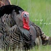 Wild Turkey Said I Live Up To My Potential Poster