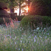 Wildflower Meadow At Sunset, Great Dixter Poster