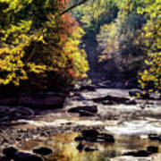 Williams River In Autumn Poster