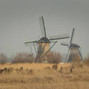 Windmills At Kinderjik Poster