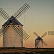 Windmills In Golden Light Poster