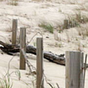 Windswept Beach Fence Cape Cod Massachusetts Poster