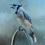 Winter Blue Jay Square Poster